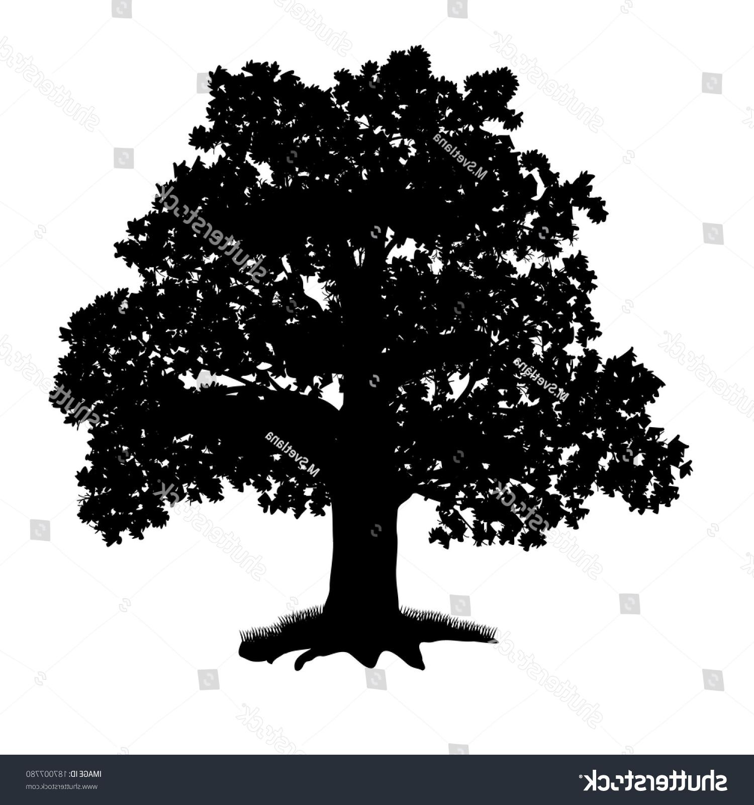 1500x1600 Top Oak Tree Silhouette Vector Library Free Vector Art, Images