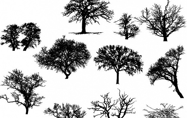 626x396 Vector Art Trees Vector Free Download