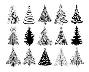 300x244 Christmas Trees