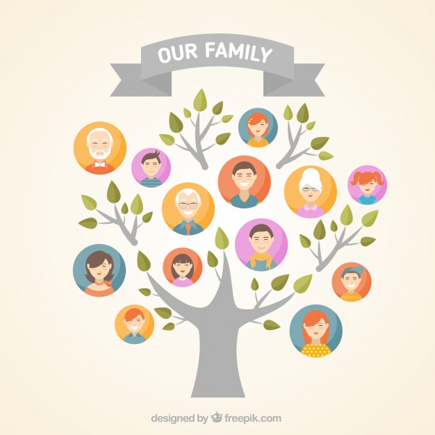626x626 Family Tree Vector Art