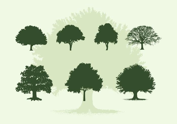 700x490 Various Oak Trees Vector Silhouettes Download