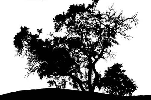Tree Vector Black