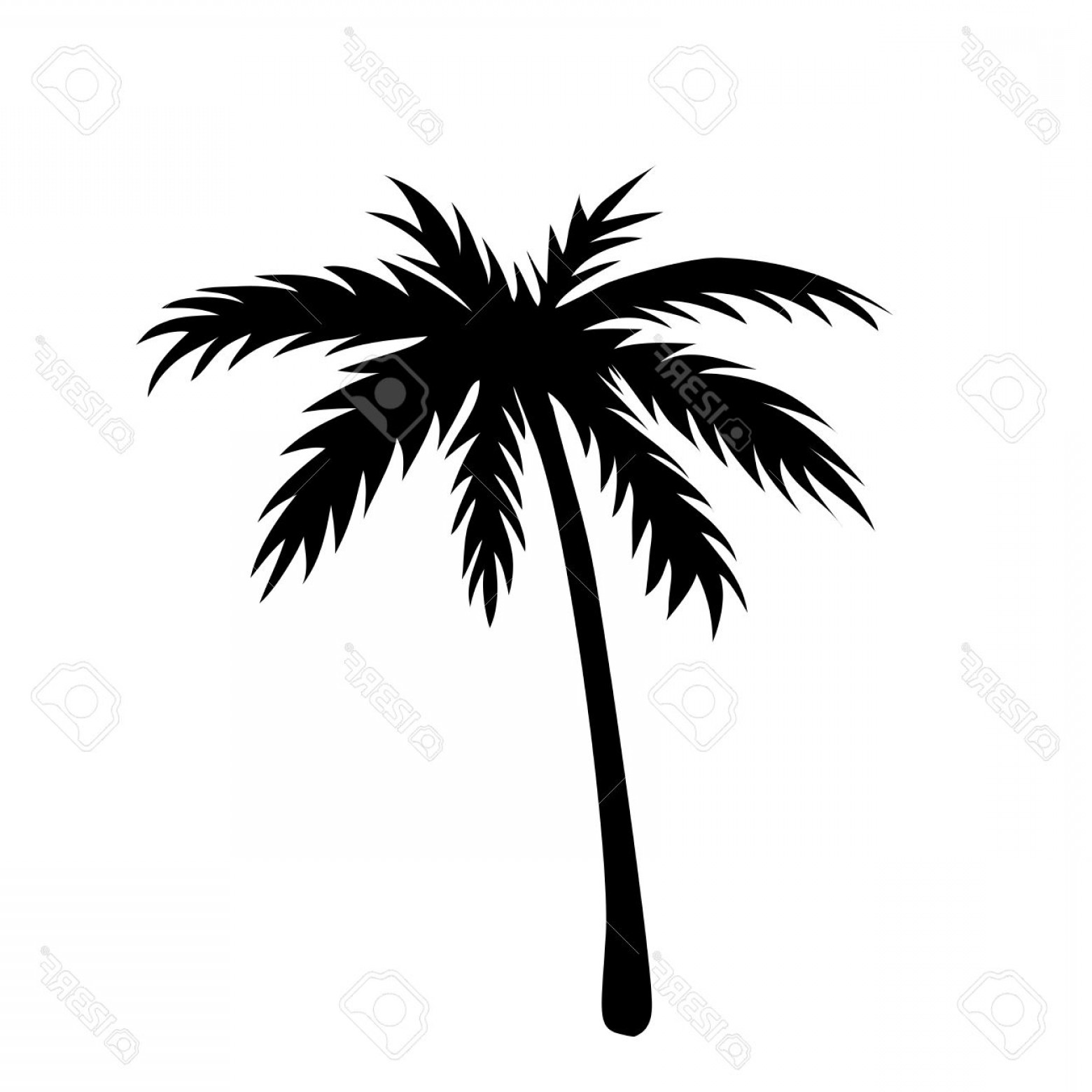 1560x1560 Photostock Vector One Palm Tree Outline Black Coconut Tree