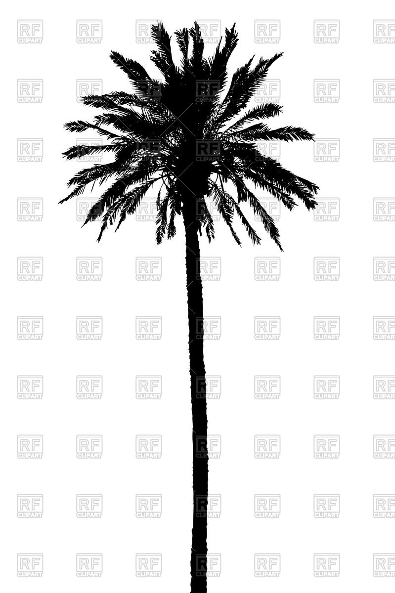 799x1200 Silhouette Of Palm Tree Vector Image Vector Artwork Of Plants