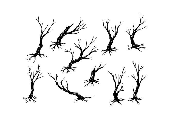 700x490 Tree Silhouette Free Vector Art 13,216 Free Images!