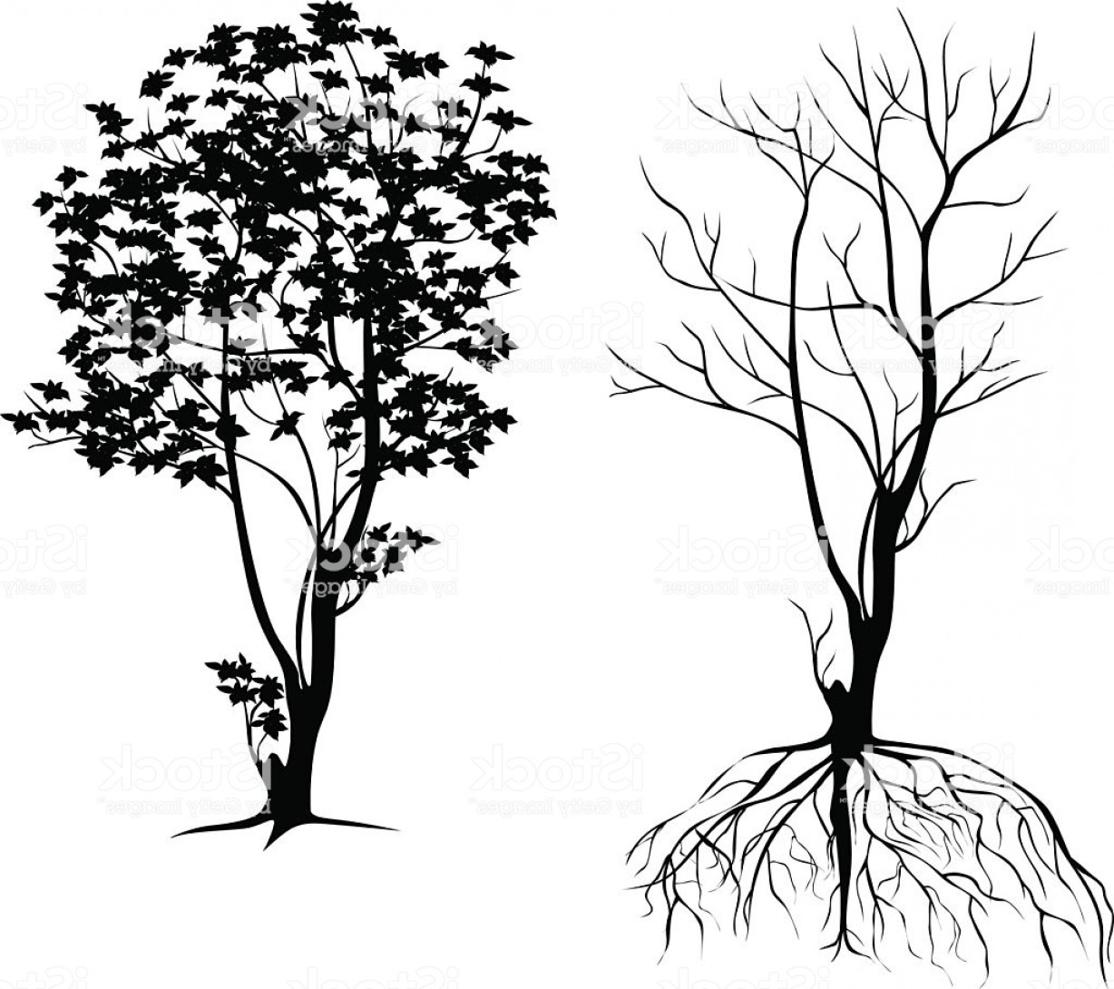 1228x1090 Tree Vector And Root Illustrator Design Gm Shopatcloth