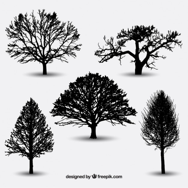 626x626 Trees Vectors, Photos And Psd Files Free Download