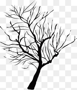 260x307 Withered Tree Png Images Vectors And Psd Files Free Download