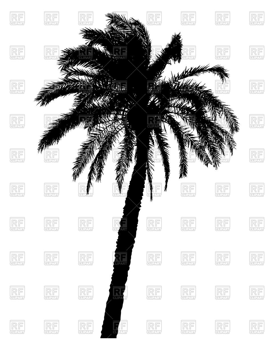 933x1200 Black Silhouette Of Palm Tree Vector Image Vector Artwork Of
