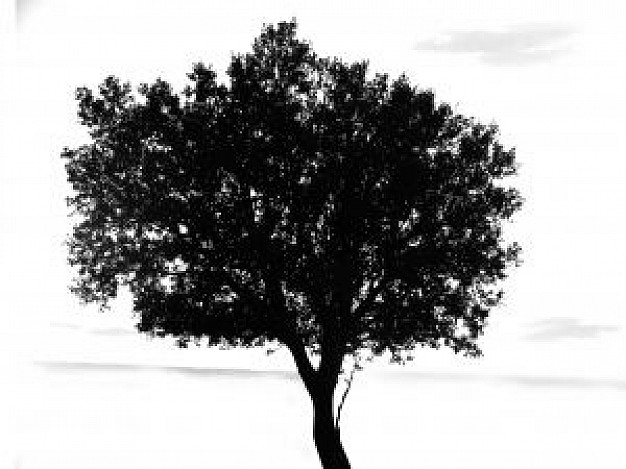 626x469 Black Tree Vector Photo Free Download
