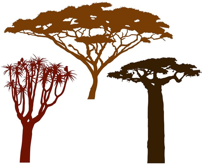 642x525 African Trees Vector File For Home Wall Decals Etsy