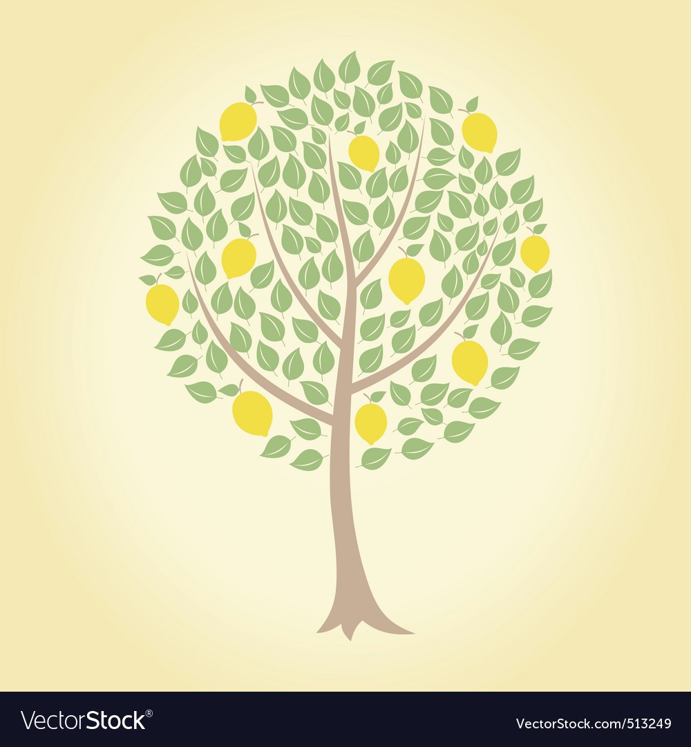 1000x1080 Tree Vector Free Template Letter Paper