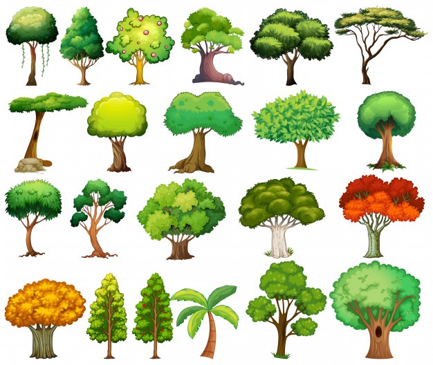 626x528 Tree Vectors, Photos And Psd Files Free Download
