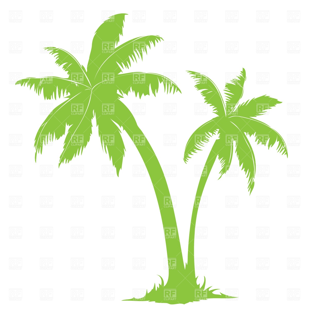 1200x1200 Images Of Palm Tree Vector Free Download