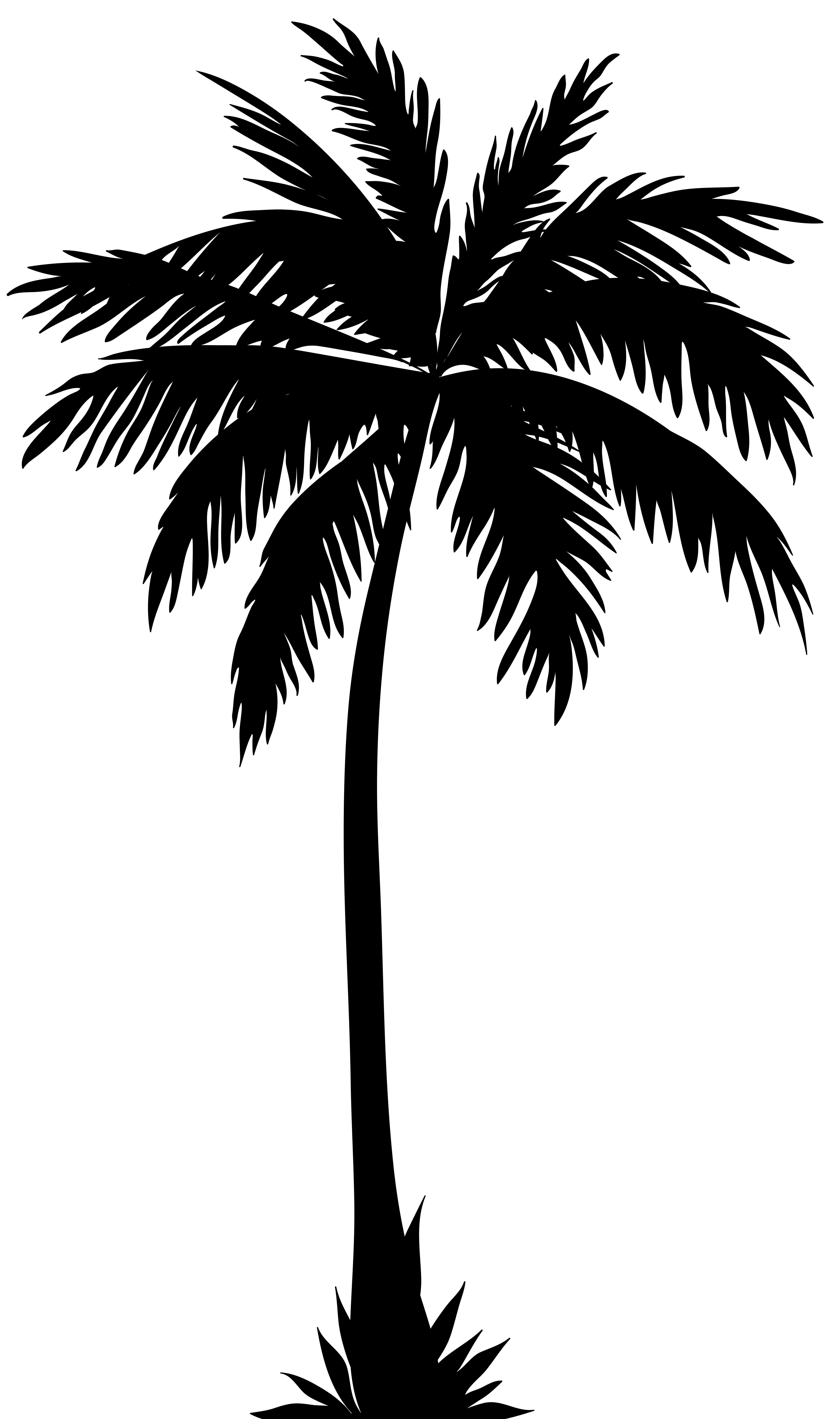 4738x8000 15 Coconut Tree Vector Png For Free Download On Mbtskoudsalg