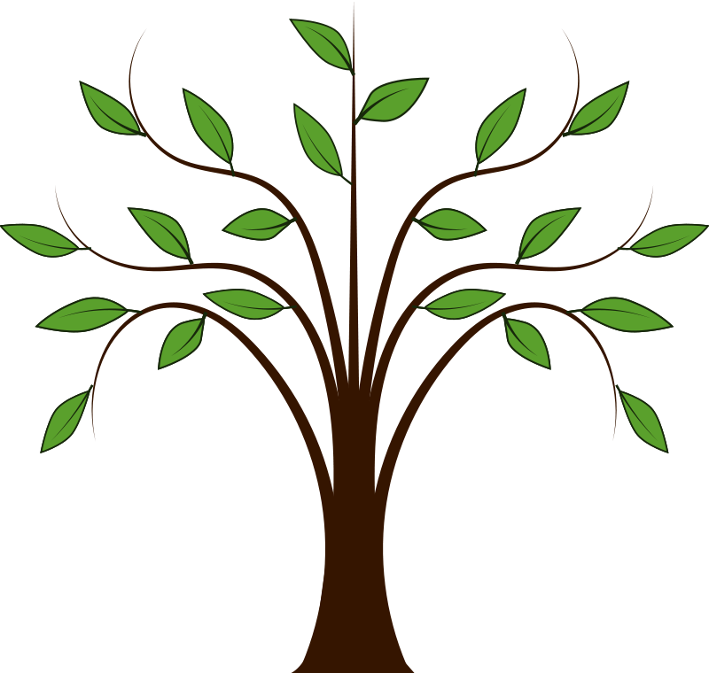 800x760 Collection Of Free Vector Design Tree. Download On Ubisafe