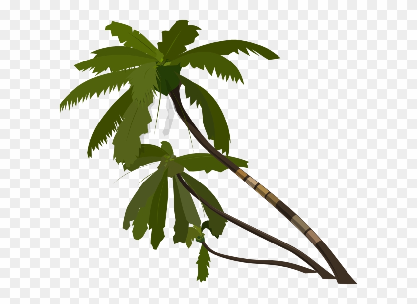 840x613 Jungle Tree Vector Png