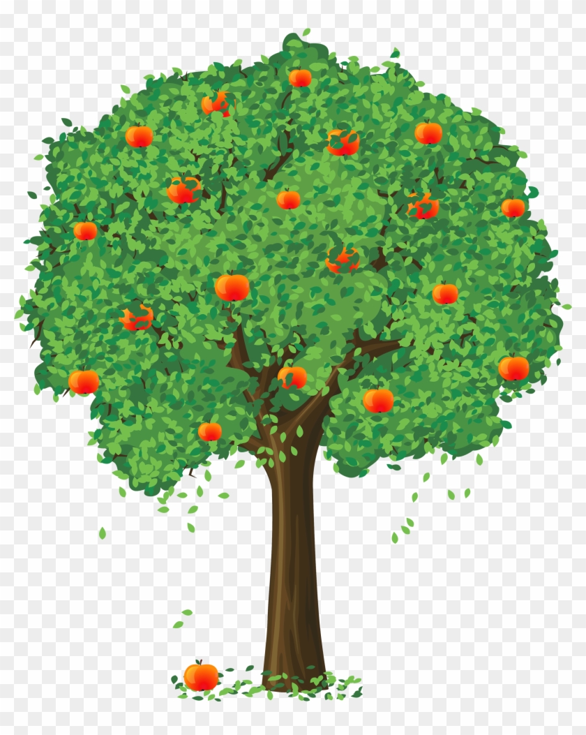 840x1053 Orange Flower Clipart Apple