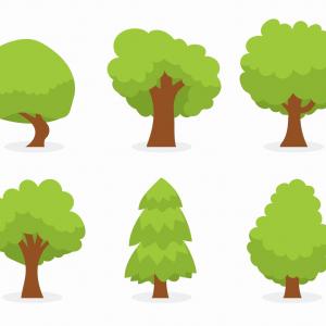 300x300 Png Fresh Coconut Tree Vector Shopatcloth