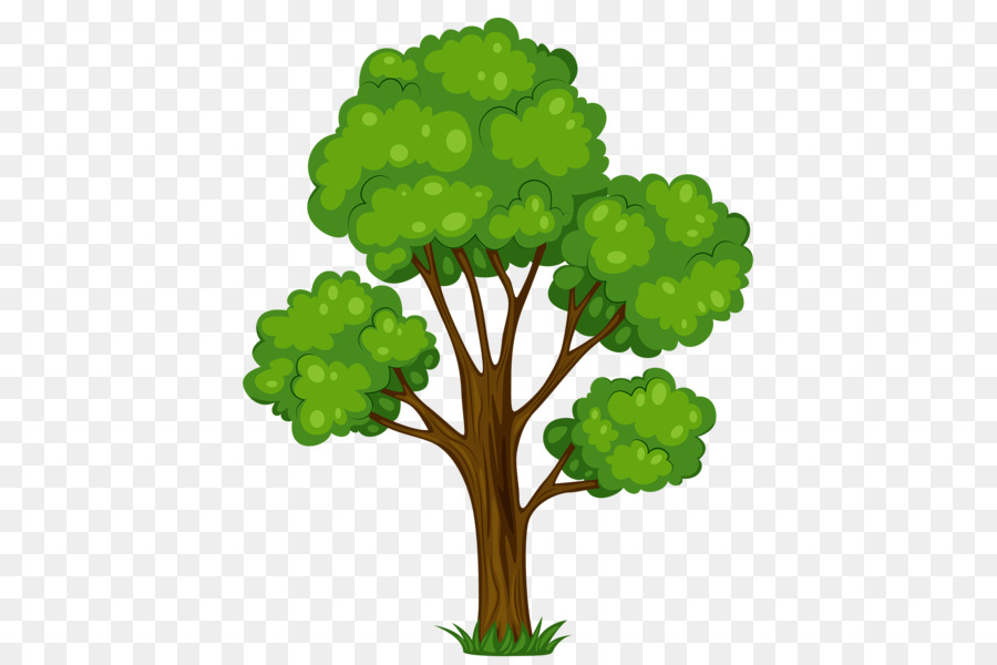900x600 Tree Free Content Clip Art