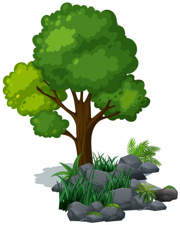 626x784 Tree Vectors, Photos And Psd Files Free Download
