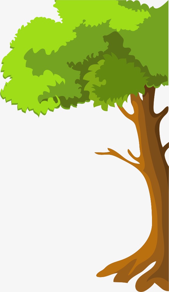 576x995 Cartoon Tree, Vector, Cartoon Vector Png And Vector For Free Download