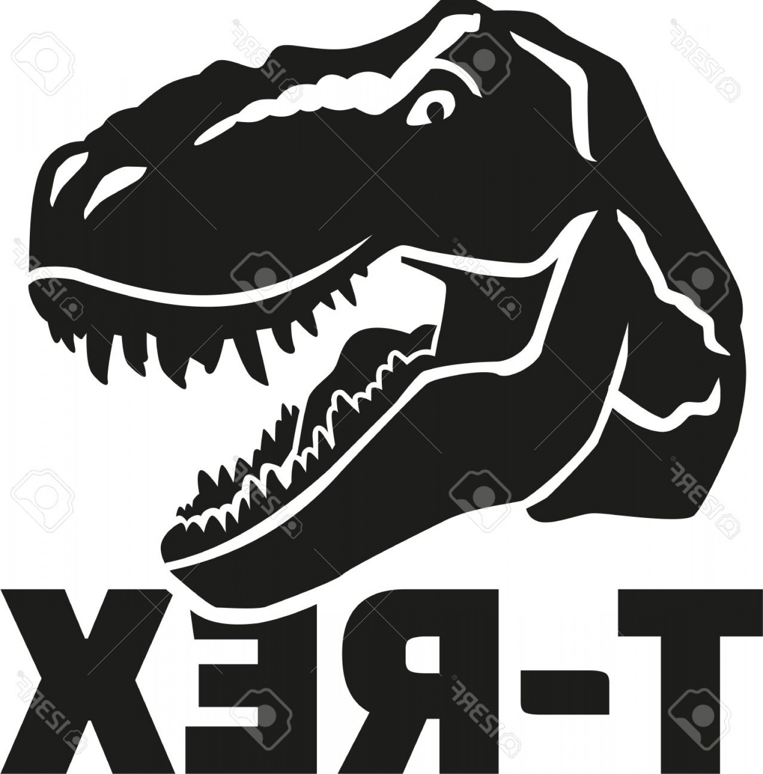 1537x1560 Photostock Vector Dinosaur Tyrannosaurus Head With T Rex Orangiausa