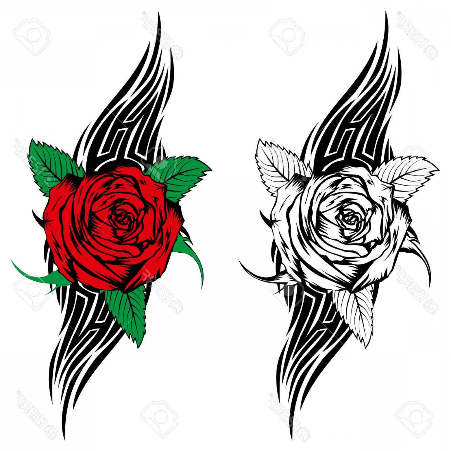 1560x1560 Photostock Vector Vector Illustration Rose With Tribal Flames For