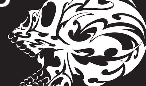 512x300 Skeleton Vector Genius