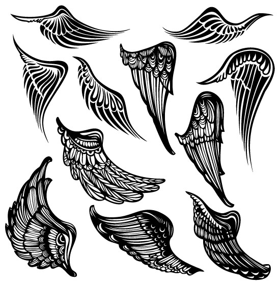 550x560 Tribal Wings Vector