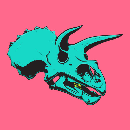 500x500 Rawz Vector Illustration Of Triceratops Skull.