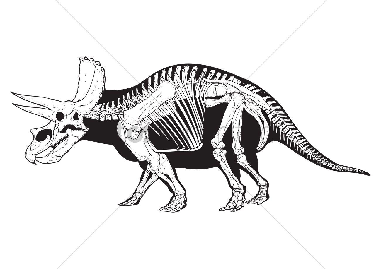1300x919 Triceratops Vector Image