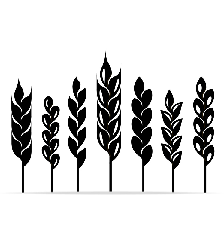 746x752 Results For Espiga De Trigo Vector Gratis