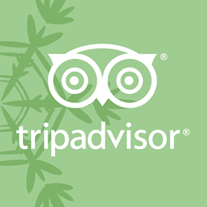 300x300 Tripadvisor Logo Vector (.svg) Free Download
