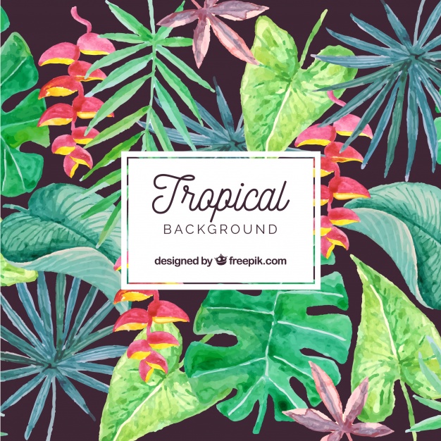 626x626 Lovely Watercolor Tropical Background Vector Free Download