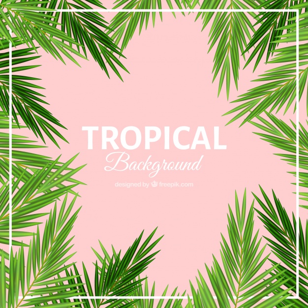 626x626 Palm Leaves Tropical Background Vector Free Download