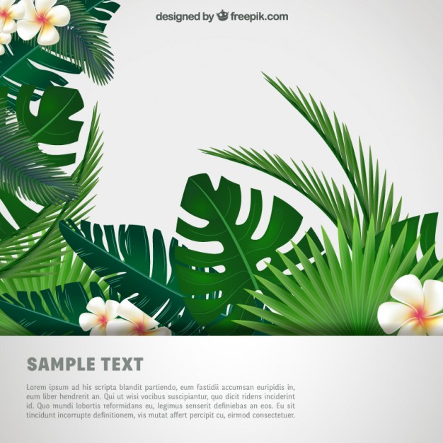 626x626 Tropical Background Vector Free Download