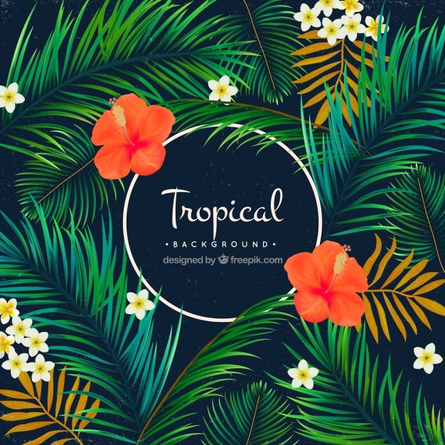 Tropical Background Vector at GetDrawings | Free download