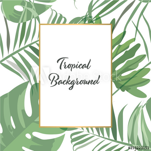500x500 Tropical Background Vector. Green Forest Pattern For Invitation