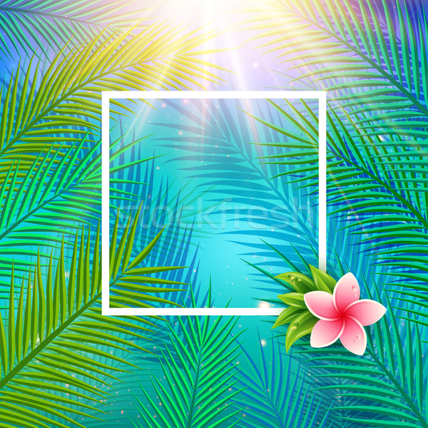 600x600 Tropical Background With Palm Leaves. Vector Illustration