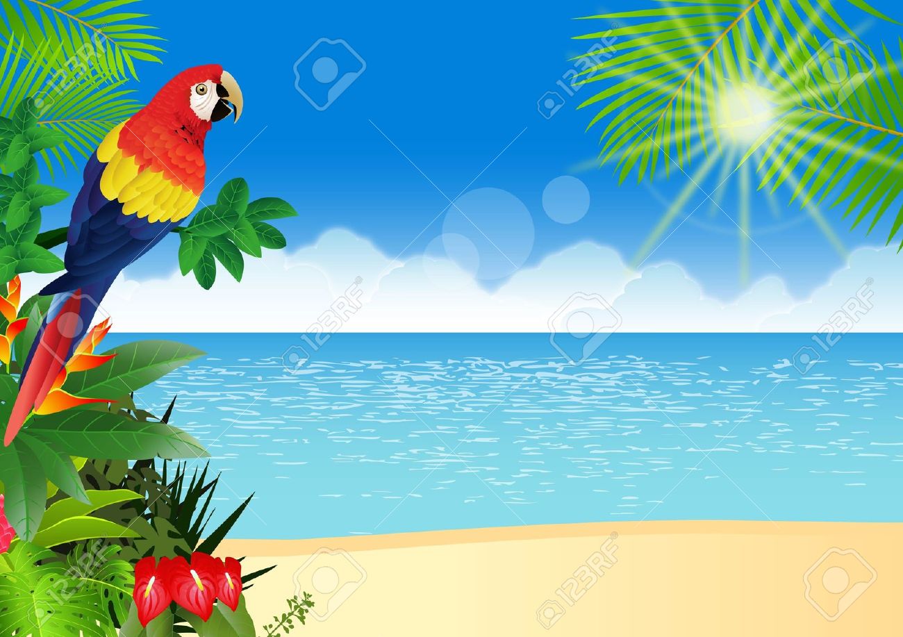 1300x917 Tropics Clipart Tropical Background
