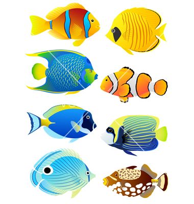 380x400 Set Of Tropical Fish Vector 813328