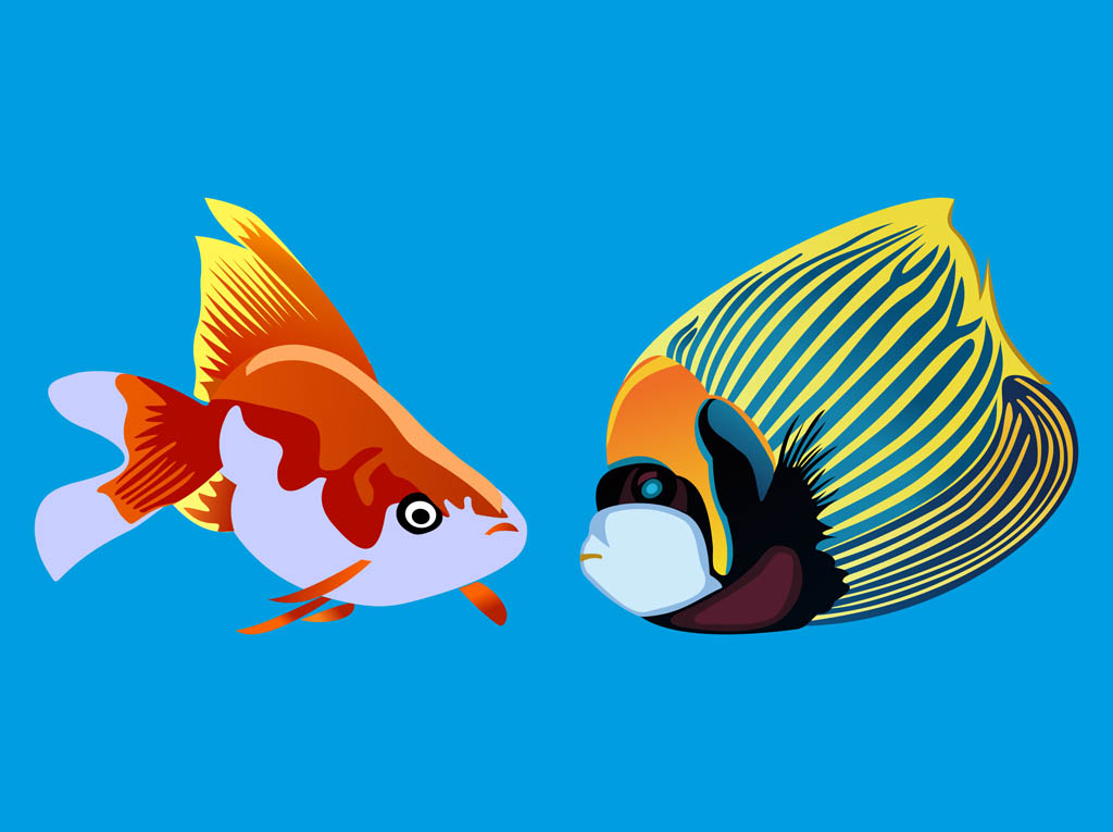 1024x765 Tropical Fish Vector Vector Art Amp Graphics
