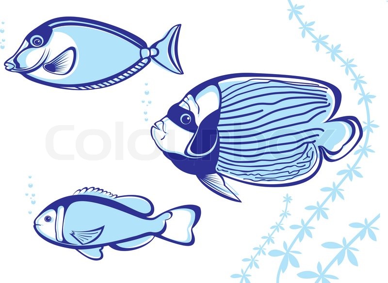 800x584 Tropical Fish Vector Illustration On White Background For Design