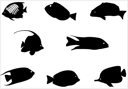 500x350 Tropical Fish Clipart Svg