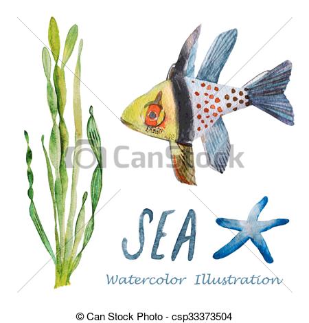 450x470 Watercolor Tropical Fish. Hand Painted Realistic Illustration.