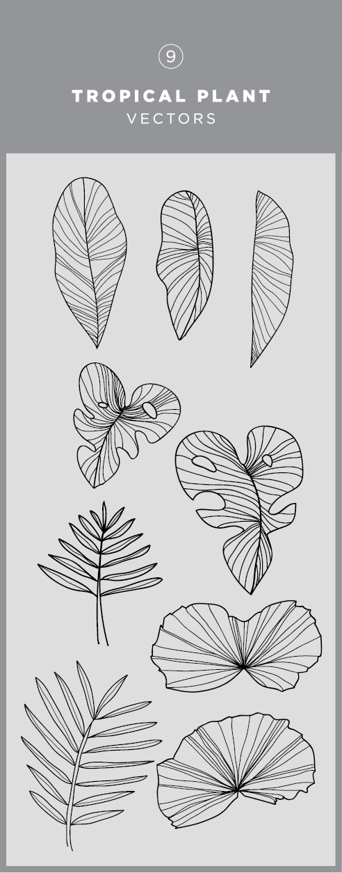 492x1255 Illustrated Tropical Plant Vector Graphic Download In 2018