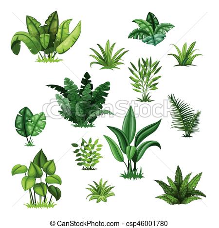 450x470 Set With Different Tropical Plants.