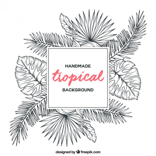 626x626 Sketches Tropical Plants Background Vector Free Download