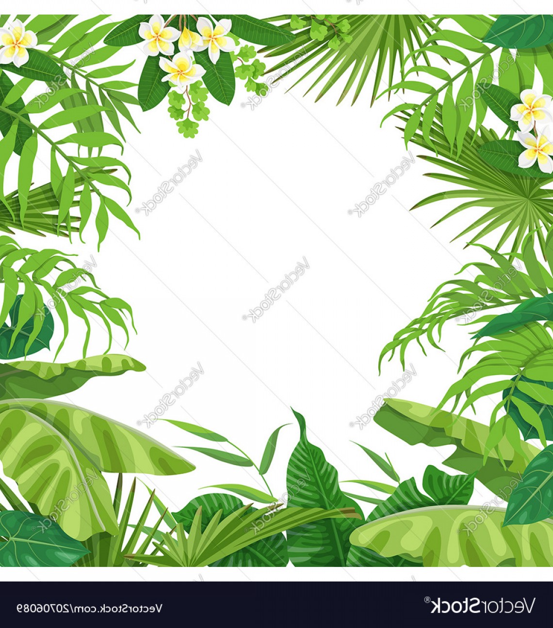 1140x1296 Summer Background With Tropical Plants Vector Lazttweet
